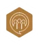 icon2